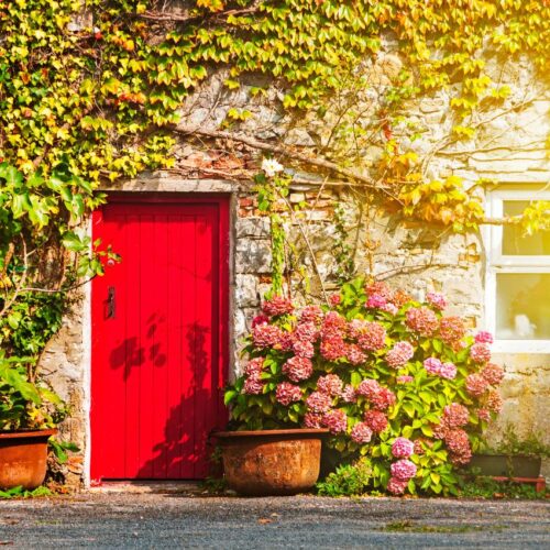 Gute Laune, Musik und Meer